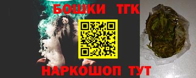 стаф Дубна