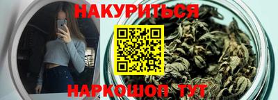 стаф Дубна