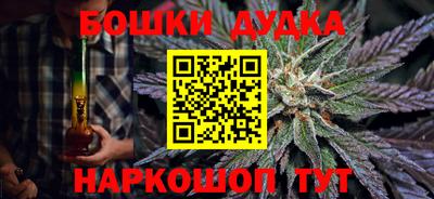 стаф Дубна
