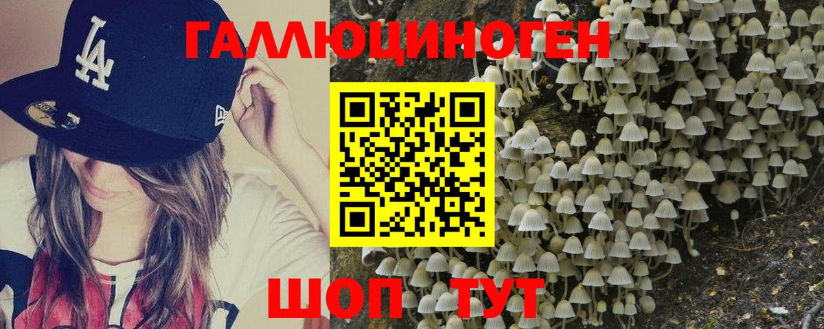 Галлюциногенные грибы Magic Shrooms Волгоград